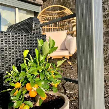 Picoterrace * Madalena (Azores)