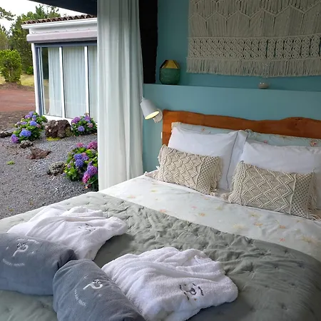 Villa Picoterrace Madalena (Azores)