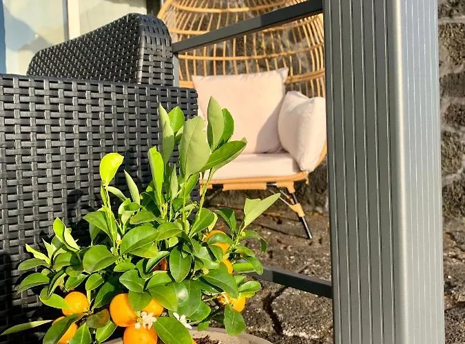 Picoterrace * Madalena (Azores)